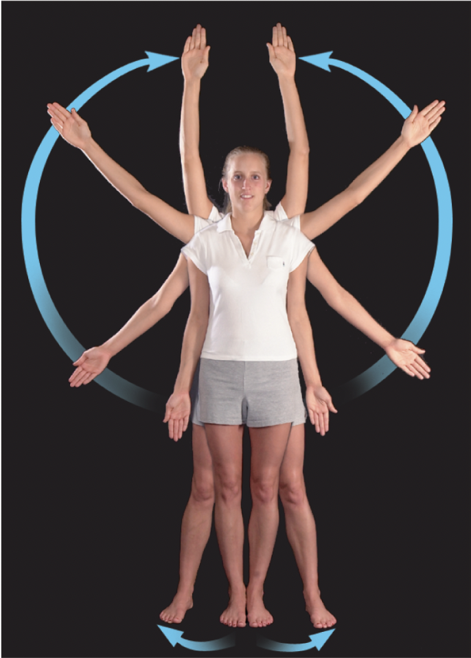 <p>the movement of a body part in the frontal plane away from the midline of the body</p>