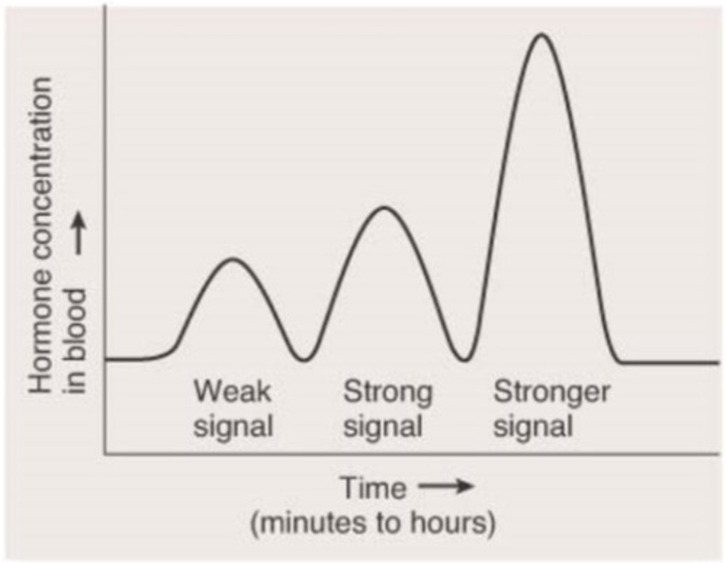 <p>amplitude modulated, meaning more hormone released and bound to target tissue means stronger response</p>
