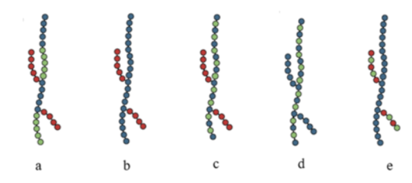 <p>For the schematics below, which is consistent with a polymer architecture featuring PE grafted onto a PTFE-PP block-copolymer primary chain? Each circle is considered to be a repeat unit.</p>