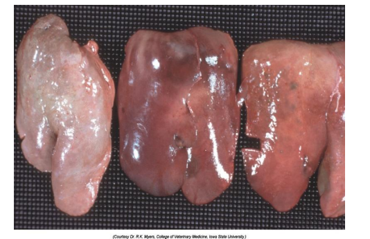 <p>What is this?</p>