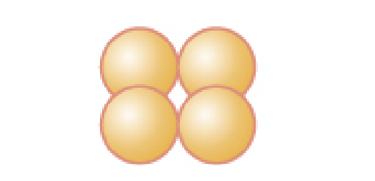 <p>Grouping of four cells arranged in a square</p>