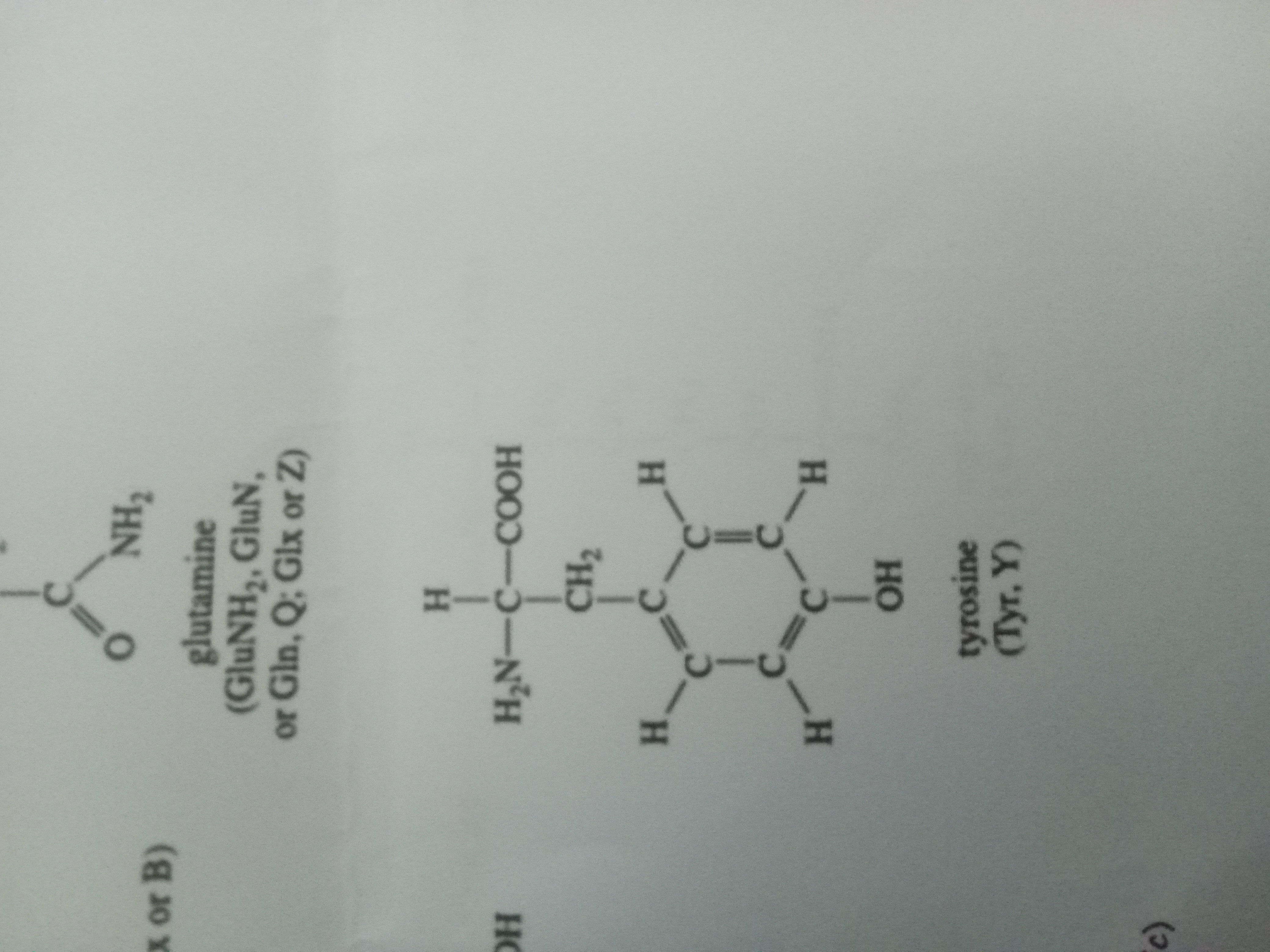 <p>Tyrosine </p>