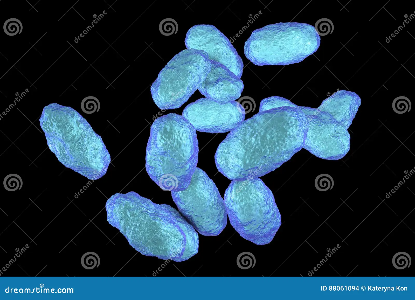 <p>Es causante de varias enfermedades en niños como conjunctivitis y sinusitis. Provocan también enfermedades que atacan a adultos como las infecciones urinarias y las endocarditis. Es un cocobacilo <mark data-color="red">gram negativo</mark> </p>