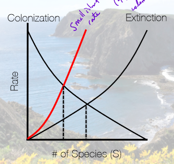 <ul><li><p>extinction rate is sharper, and fewer species are supported</p></li><li><p>colonization rate is the same</p></li></ul><p></p>