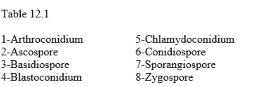 <p>In Table 12.1, which of these spores are asexual spores?</p>