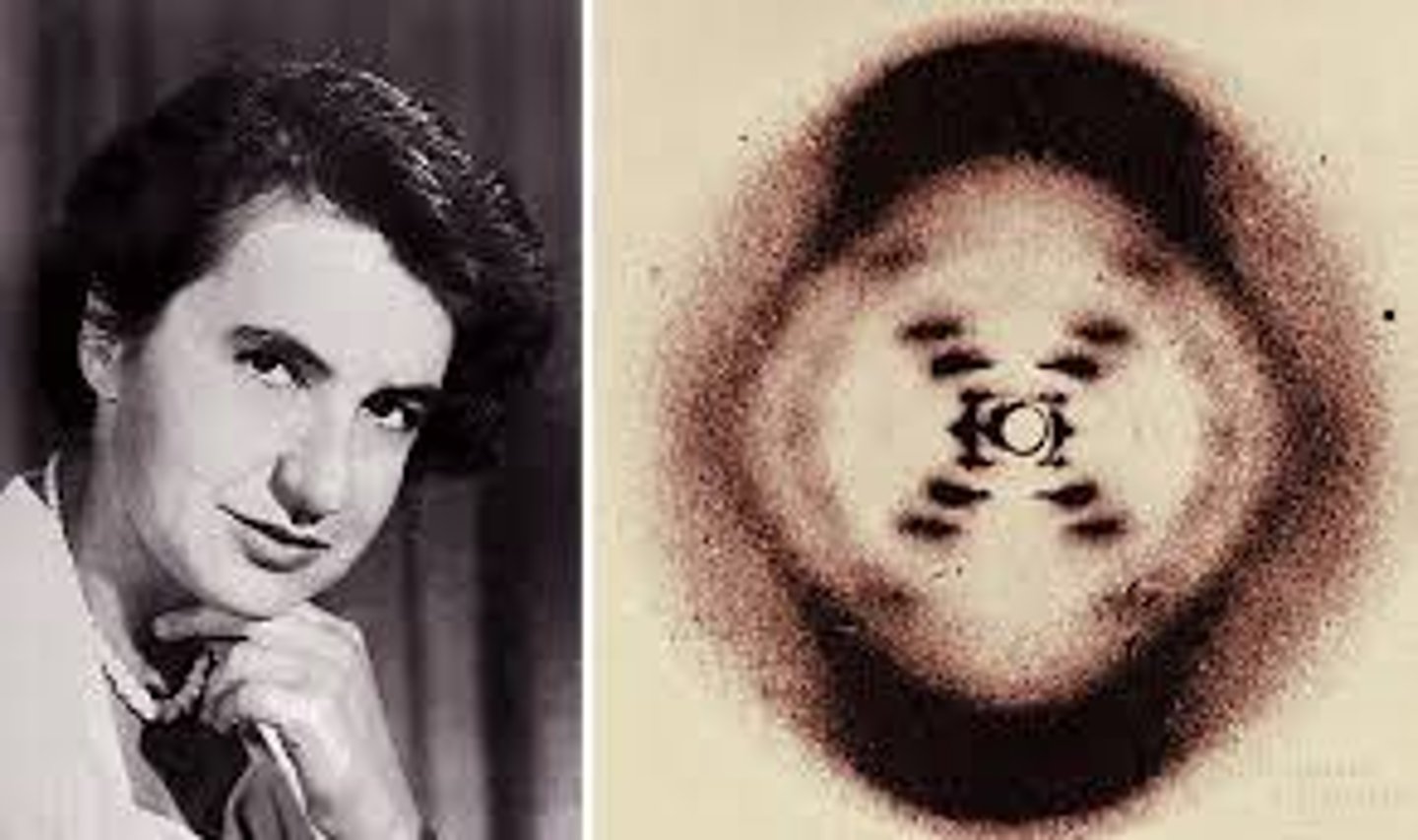 <p>both used a technique called x-ray crystallography to produce a picture of the DNA molecule (Photo 51)</p>