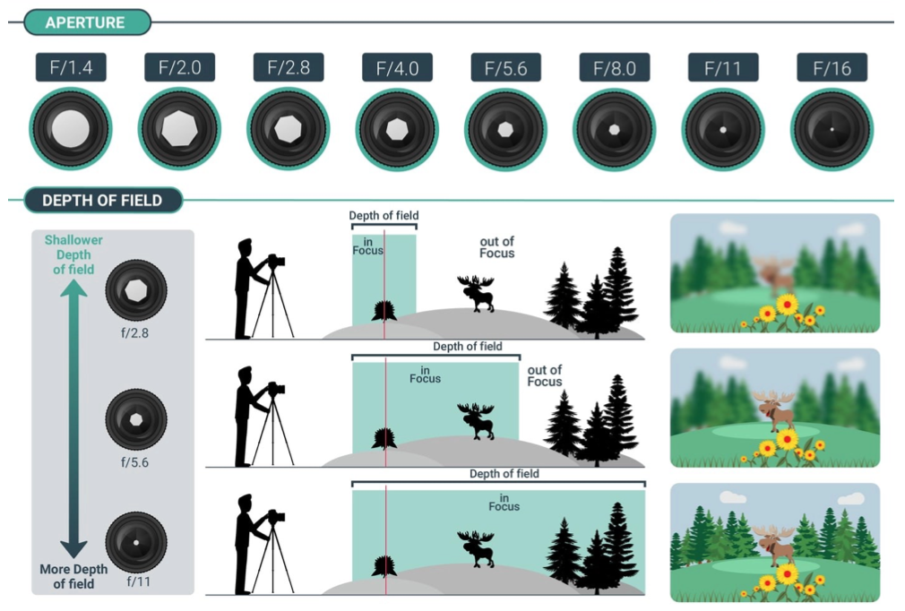   	 		 		 	 	 		

For a set focus distance, adjusting the aperture will increase or decrease the depth of field. Reducing stop (opening the iris) decreases DOF range. Increasing stop (closing the iris) expands the DOF range.  