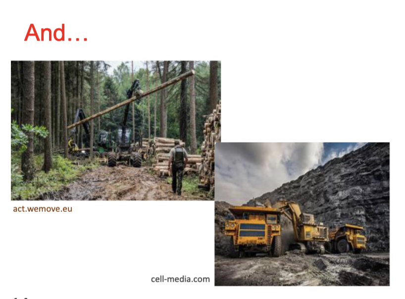 <p>Animals also consume what else on top of&nbsp;“food”</p>