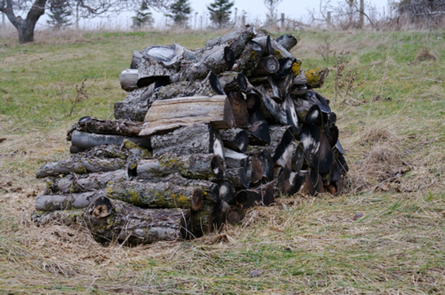 <p>(v) chất đống (đồ chất lên lung tung)</p>