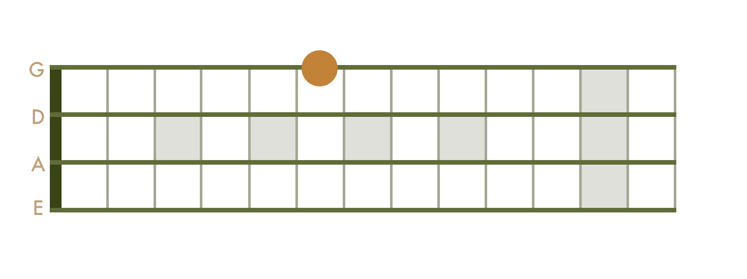 <p>6th Fret - G String</p>