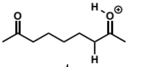 <p>next stages of intramolecular aldol (acid conditions)</p>