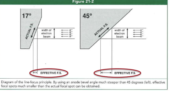 <ul><li><p>Width of the beam of electrons striking the anode</p><ul><li><p>Which is determined by the size of the filament used</p></li></ul></li><li><p>Angle of the anode bevel</p></li></ul><p></p>