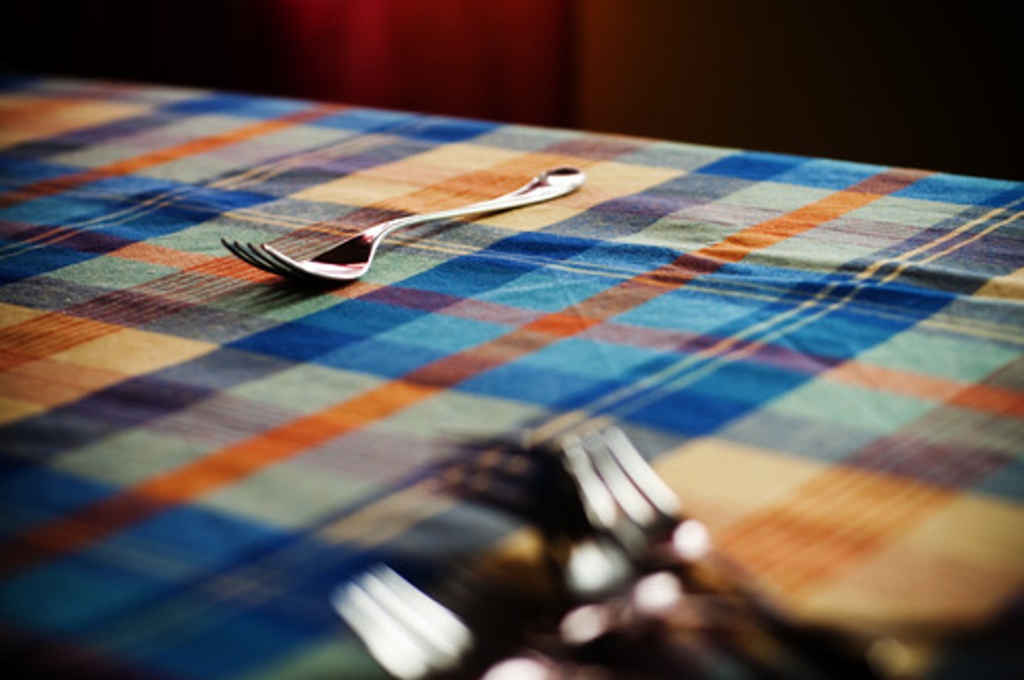 <p>tablecloth</p>