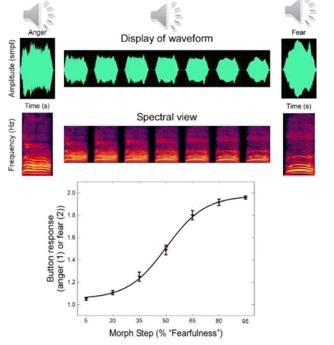 <p>Developed the STRAIGHT algorithm, a powerful voice manipulation and morphing tool that allows researchers to systematically and parametrically control acoustic features of sounds (like fundamental frequency, spectral envelope, and amplitude) to study the perception of emotion in voices.</p>