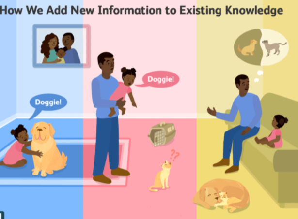 <p>Incorporating our new experiences into our existing schemas. Making things the same. </p><p>Ex: A child with a dog at home referring to a horse as a “dog.”</p>