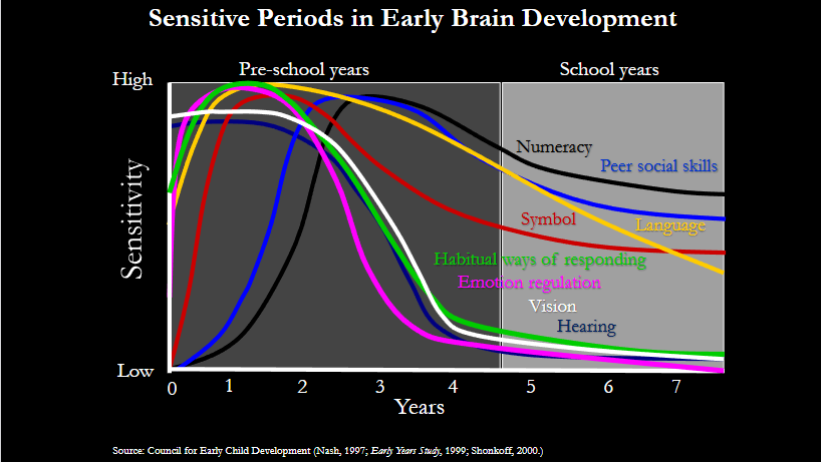 <ul><li><p>nature vs. nurture</p></li><li><p>continuity vs. discontinuity</p></li><li><p>stability vs. change</p></li><li><p>risk vs resilience</p></li><li><p>plasticity/neuroplasticity</p></li></ul><p></p>
