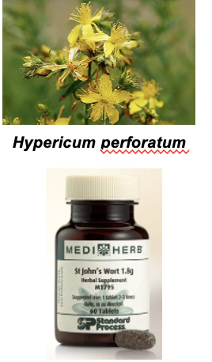 <p><strong>potent CYP3A4 inducers</strong> </p>