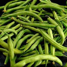 <p>green beans</p>