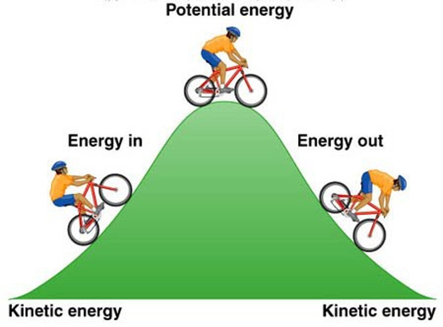 <p>the sum of kinetic and potential energy</p>