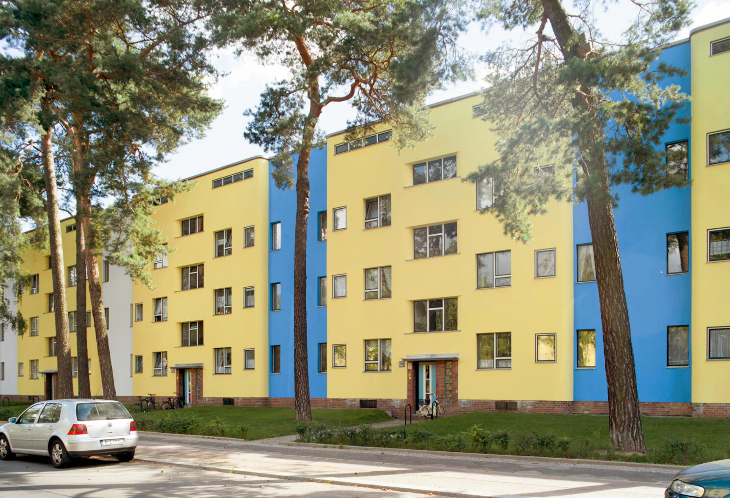 term image