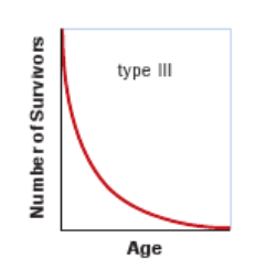 <p>A type III survivorship curve depicts a population with high mortality early in life and high survival later in life.</p><p>This is a common pattern in many species of insects and in plants such as dandelions and oak trees that produce hundreds or thousands of seeds</p>