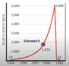 there is a lag time between reproduction rate and reosurce consumption