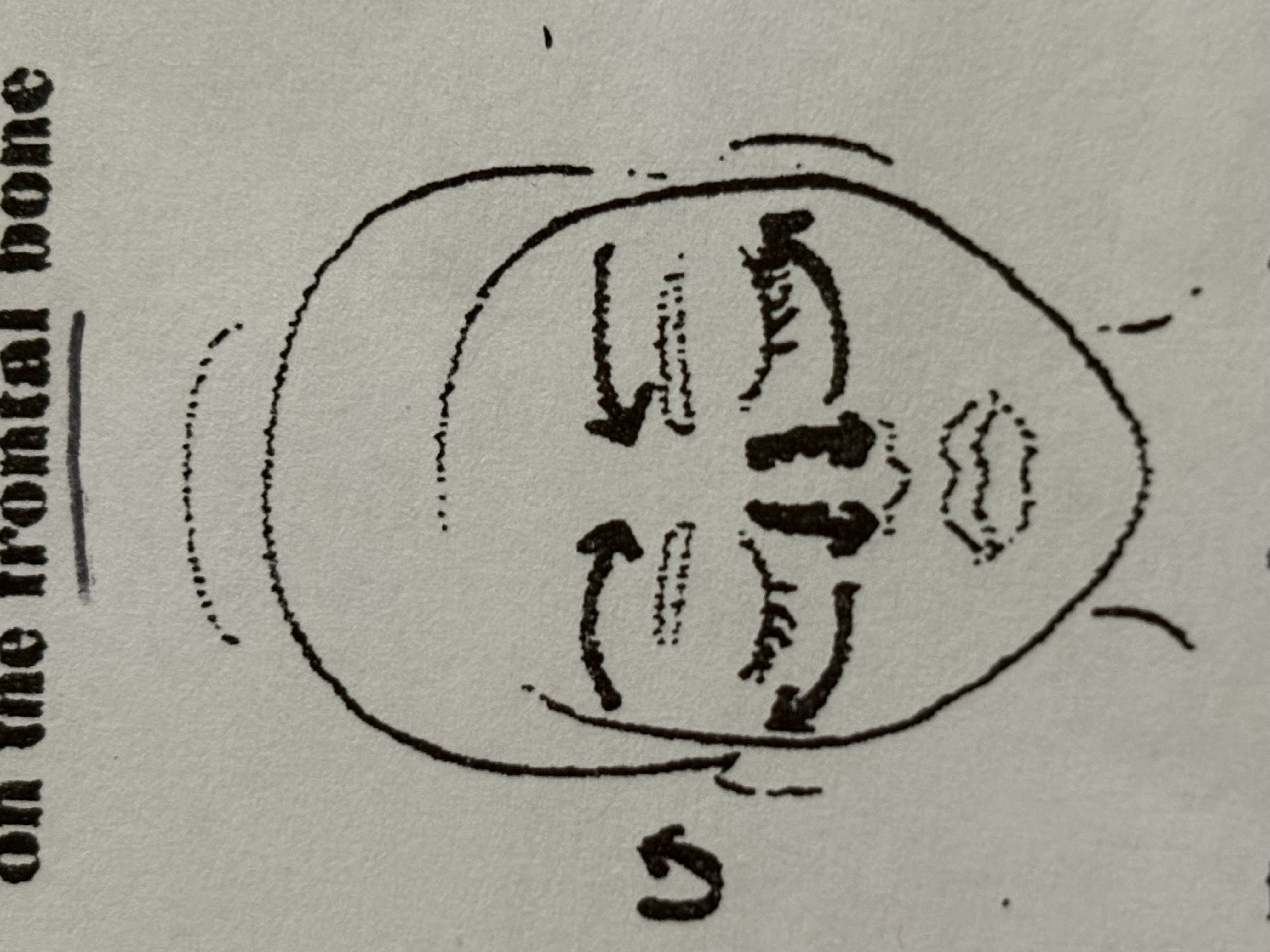 <p>Sixth step</p>