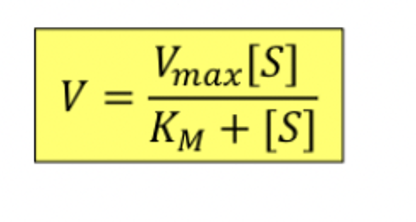 <p>Vmax = k2[E]T</p>