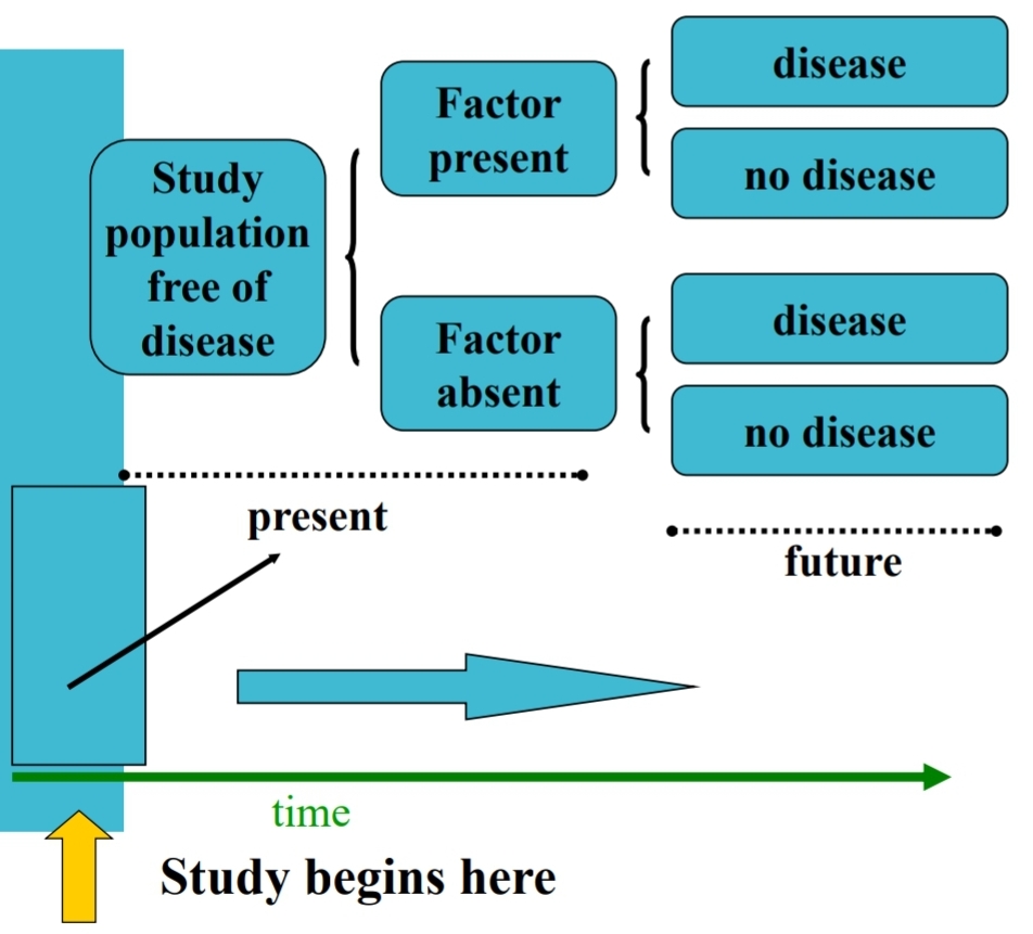 <p>Cohort studies</p>