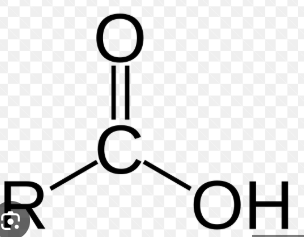 <ul><li><p>suffix is -oic acid</p></li></ul><p></p>