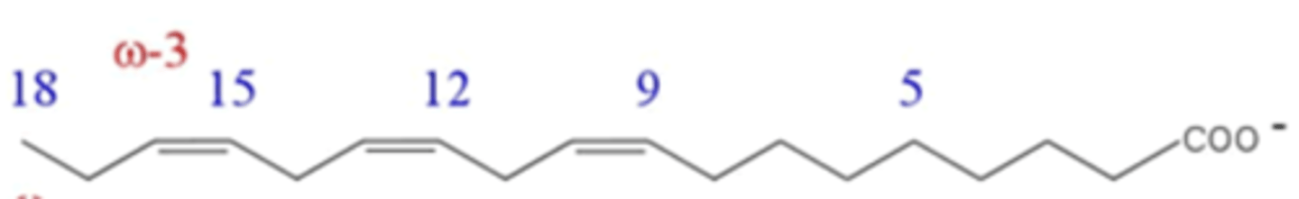 <p>What is the common name of this fatty acid?</p>