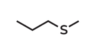 <p>IUPAC Name → <strong>Methylthiopropane</strong></p><ul><li><p><strong>Propane </strong>- 3-carbon straight chain (CH3CH2CH2–)</p></li><li><p><strong>Methylthio </strong>- (–SCH₃) A methyl group connected through sulfur</p></li></ul>