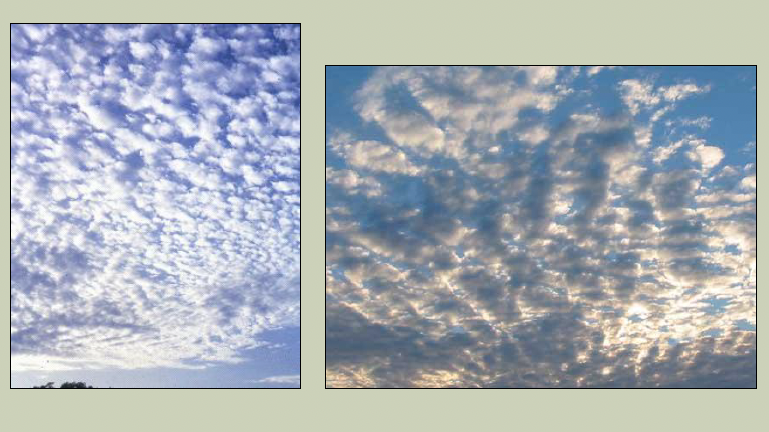 <p>Type of cloud</p>