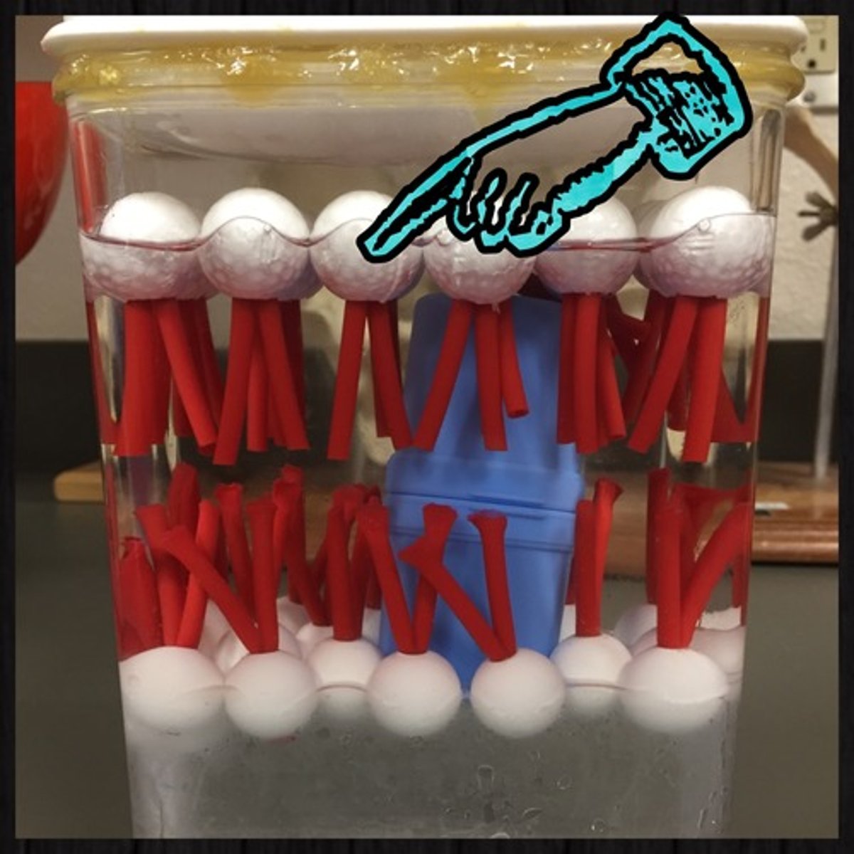 <p>polar, hydrophilic</p>