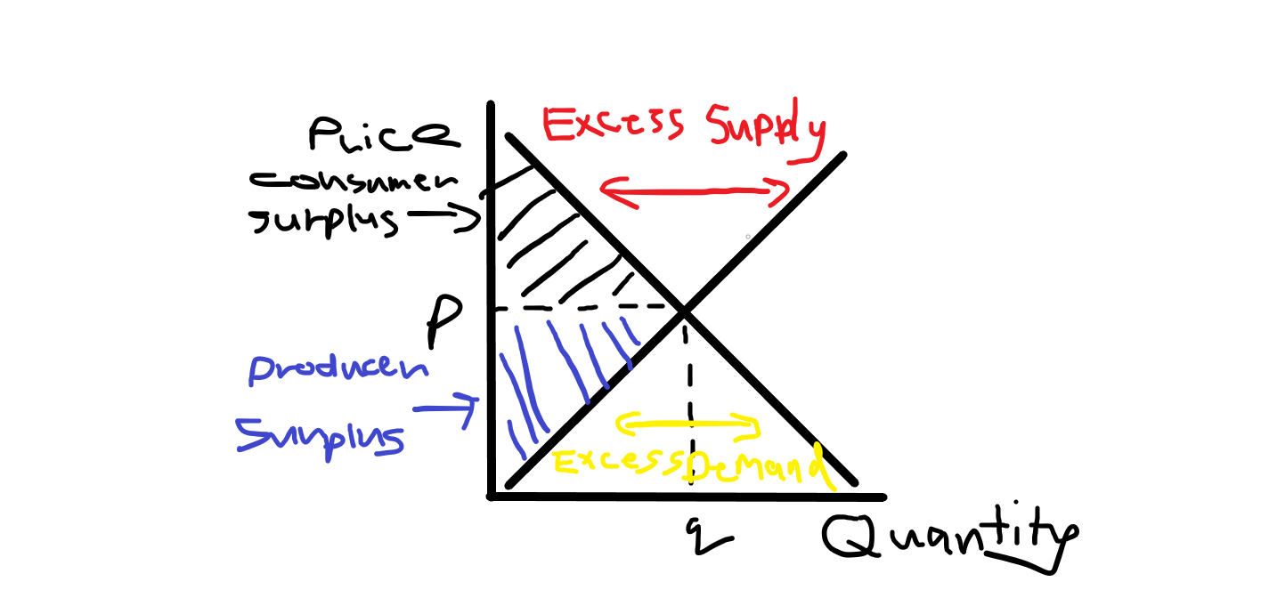 <ul><li><p>Equilbrium price - demand = supply</p></li><li><p>Excess demand - quantity demanded is greater than supply at the current price</p></li><li><p>Excess supply - quantity demanded is less than supply at the current price</p></li></ul><p></p>