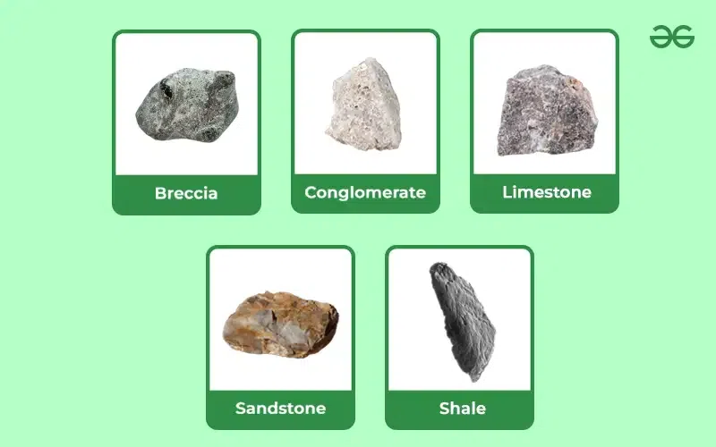 <p>What type of rocks are these? </p>