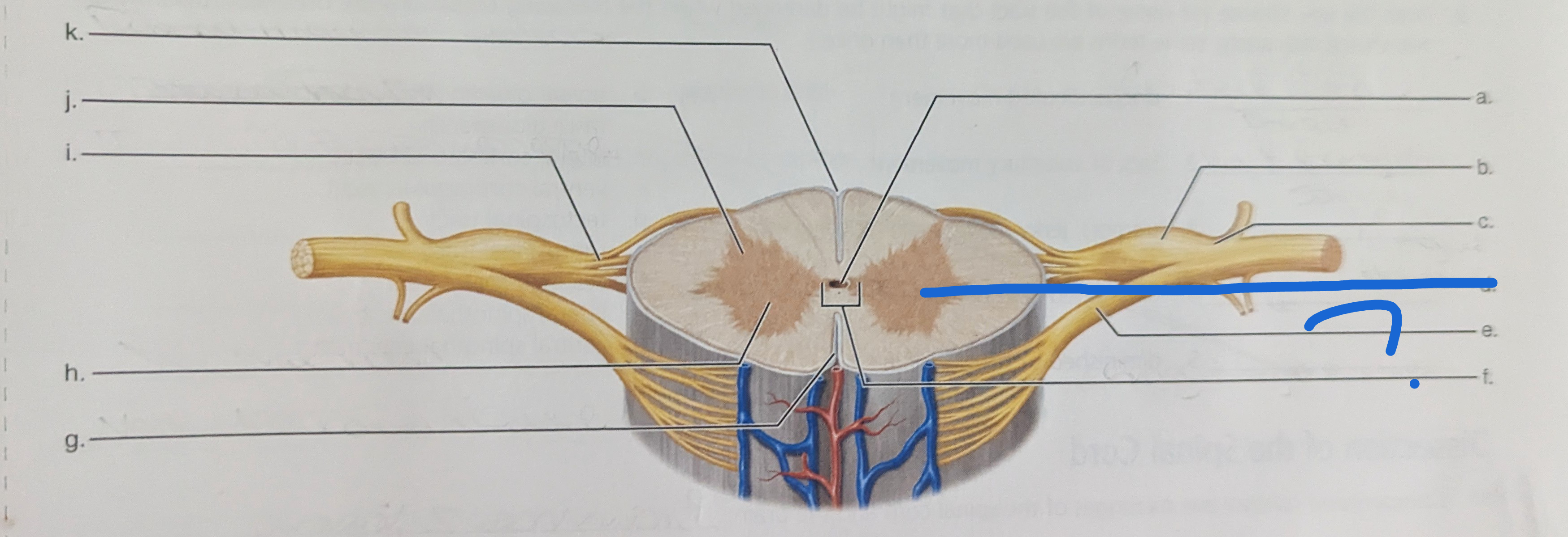 <p>What is the name of this?</p>