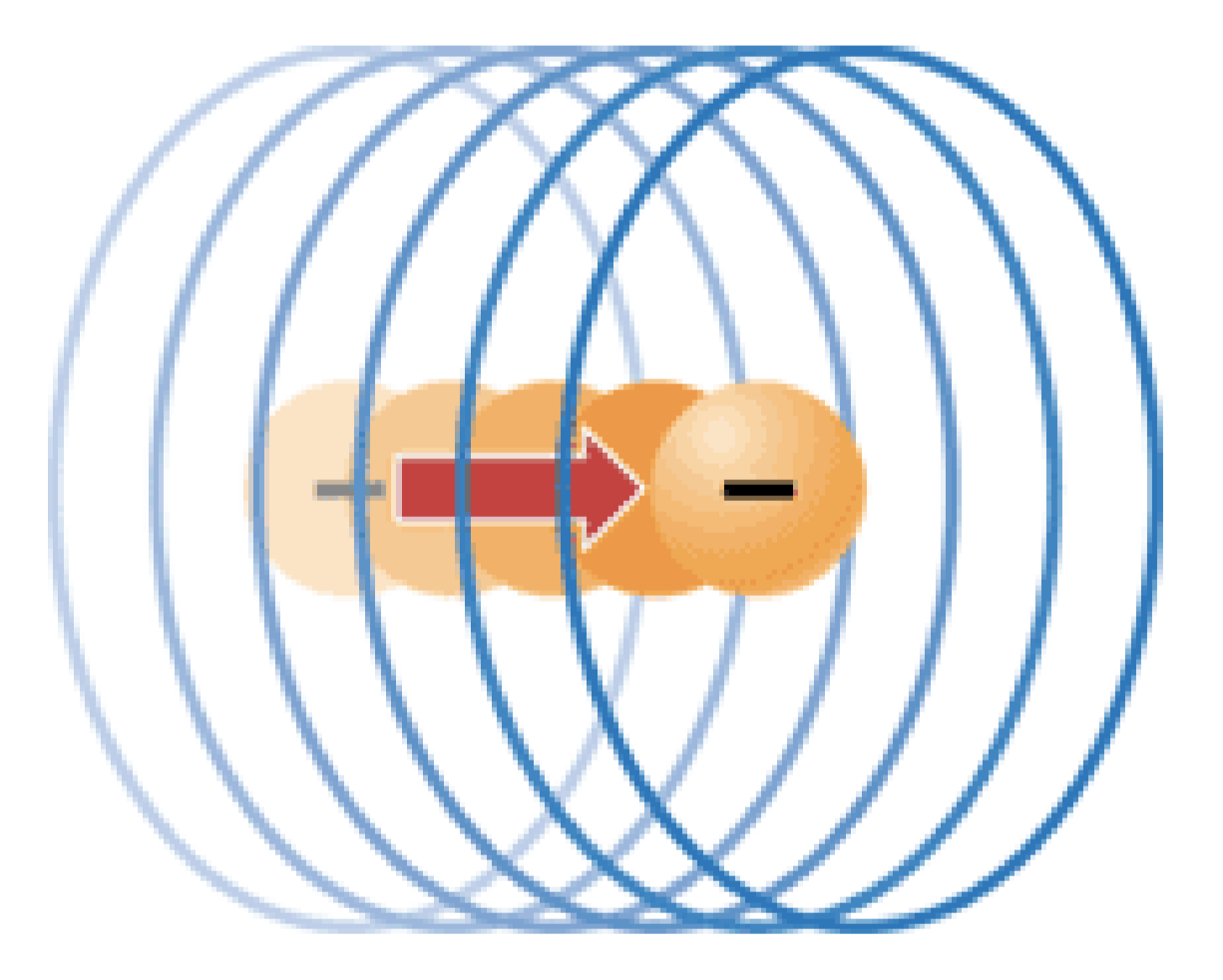 <p>what do the circles represent</p>