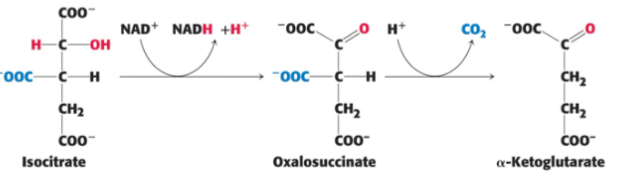 <p>DEFINE: Step 3</p>