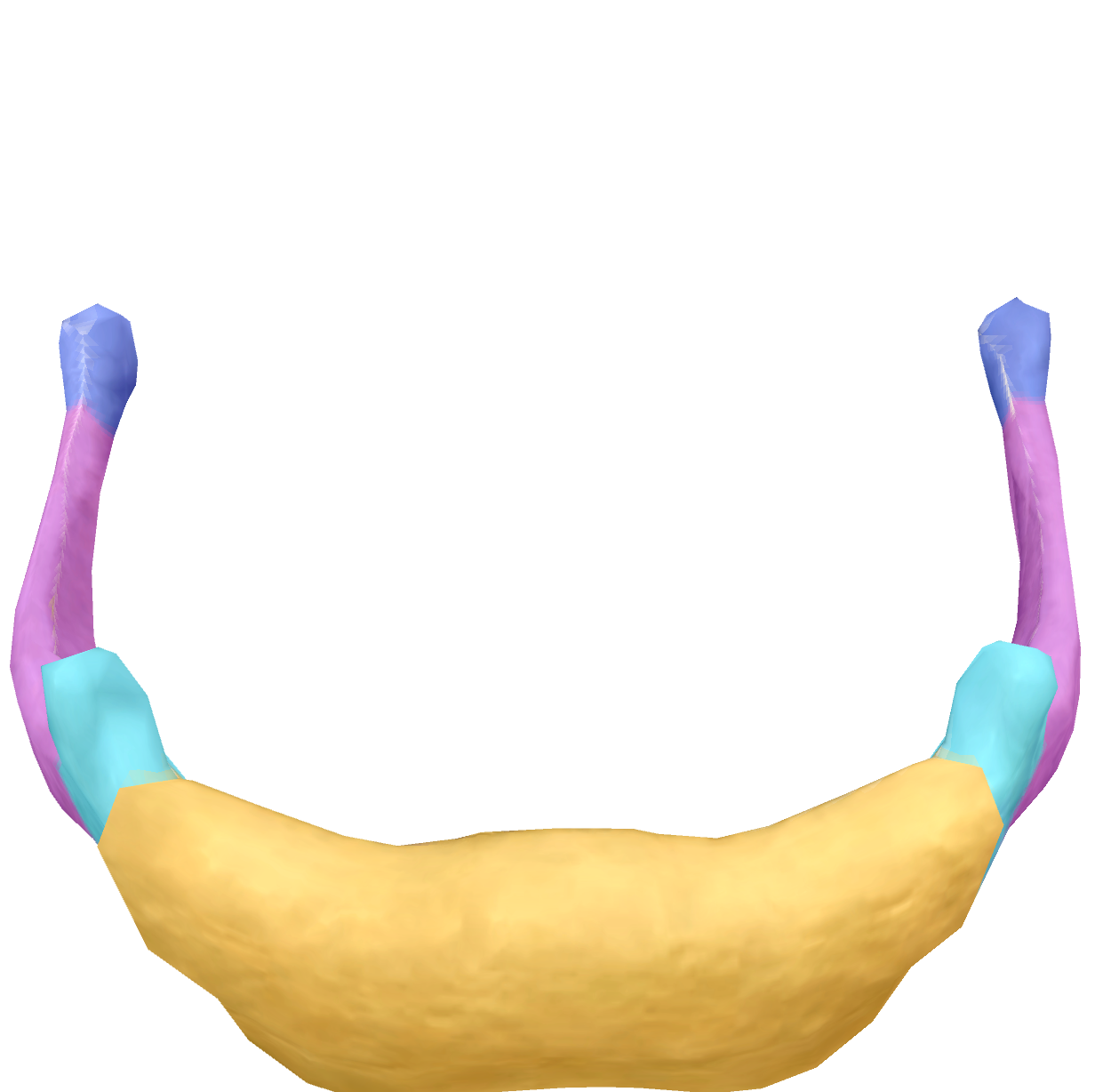 <p>superior/inner point of the body of the hyoid </p>