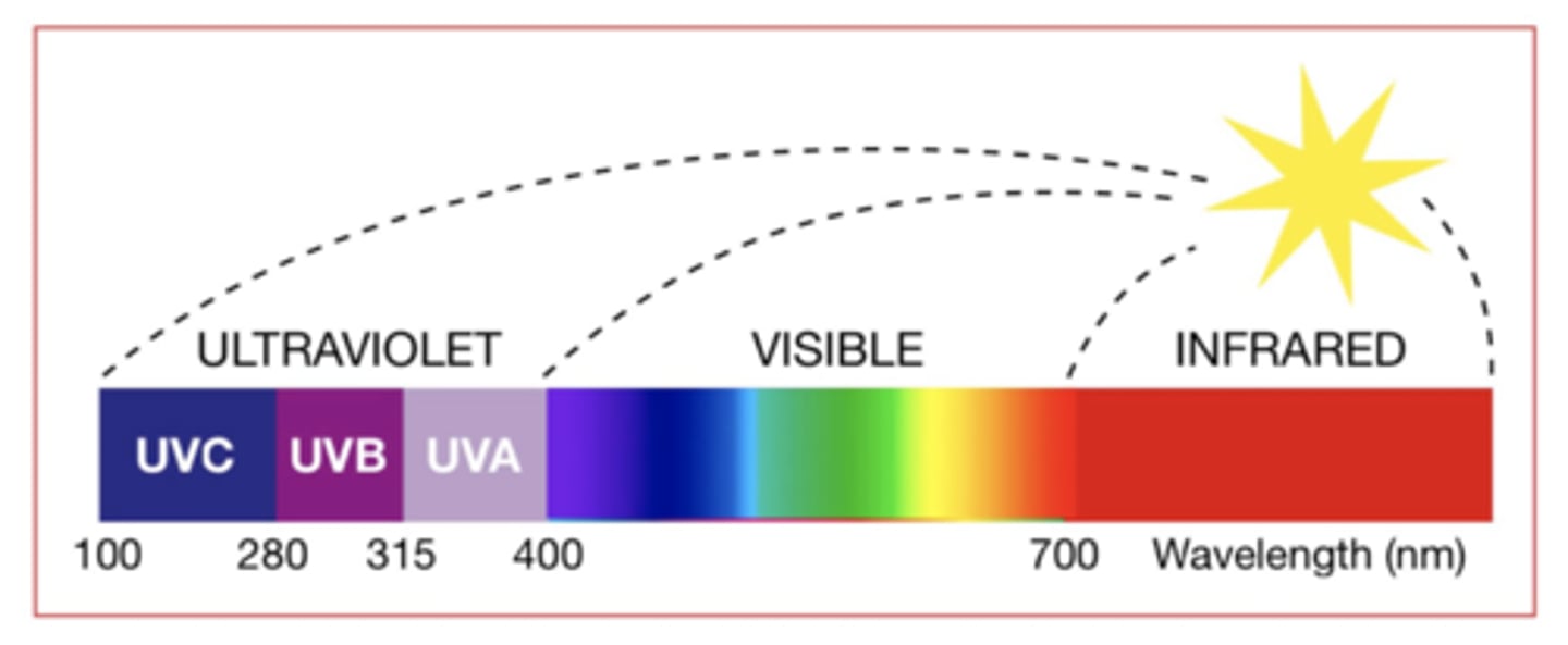 <p>major reason for cataract formation</p>