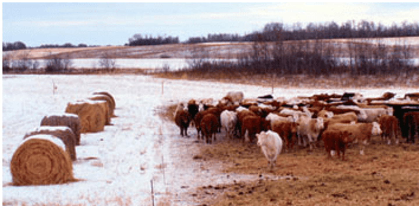 <p>Allows time for species to recover &amp; reduces the risk of soil erosion</p>
