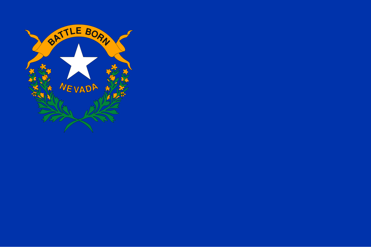 <p>Blue background. Battle born. Nevada.</p>