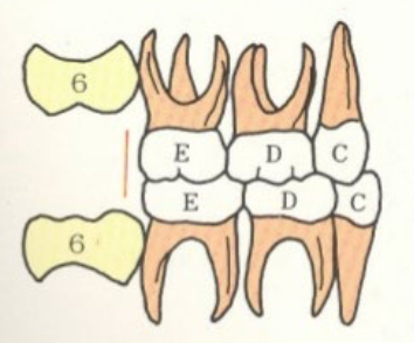 <p>Which terminal plane?</p>
