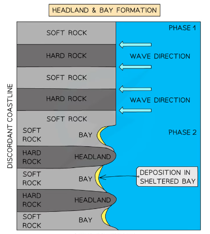 <p>Occur when there are<mark data-color="green"> alternating bands of hard and soft rock</mark> running <mark data-color="green">perpendicular </mark>to oncoming <mark data-color="green">waves </mark>(<mark data-color="green">discordant</mark>). First, <mark data-color="green">soft rock</mark> is <mark data-color="green">eroded backward </mark>- forms <mark data-color="green">inlet</mark>. As inlet continues to erode it<mark data-color="green"> curves inwards</mark> and a <mark data-color="green">bay </mark>is formed - usually with a <mark data-color="green">beach</mark>. <mark data-color="green">Hard rock</mark> is left <mark data-color="green">protruding </mark>out to sea as a <mark data-color="green">headland</mark>.</p>