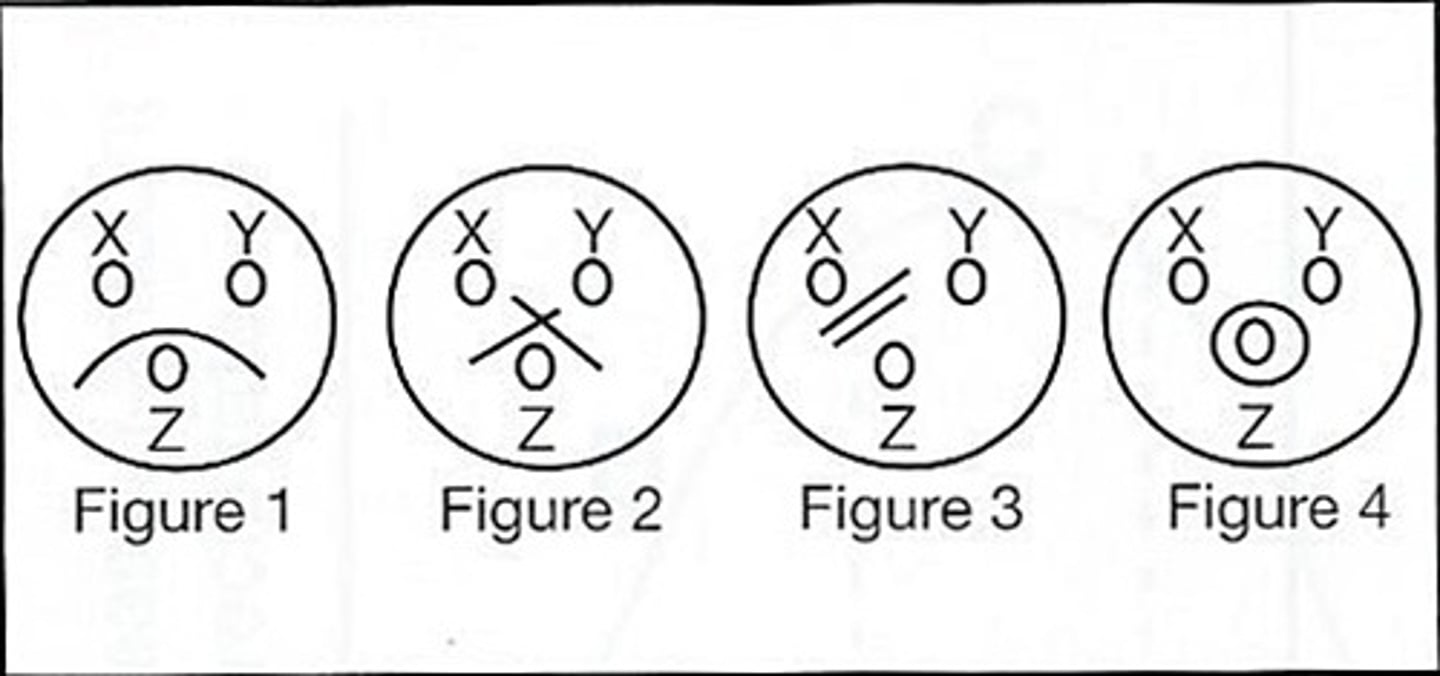 <p>60) Which of the above figures demonstrates a reaction pattern of nonidentity?</p><p>a. Figure #1</p><p>b. Figure #2</p><p>c. Figure #3</p><p>d. Figure #4</p>