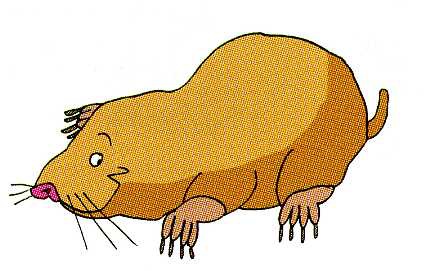 mole