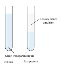 <p>The emulsion test - add ethanol to the sample and shake the test tube then add water to it. Lipids are present if a white emulsion appears.</p>