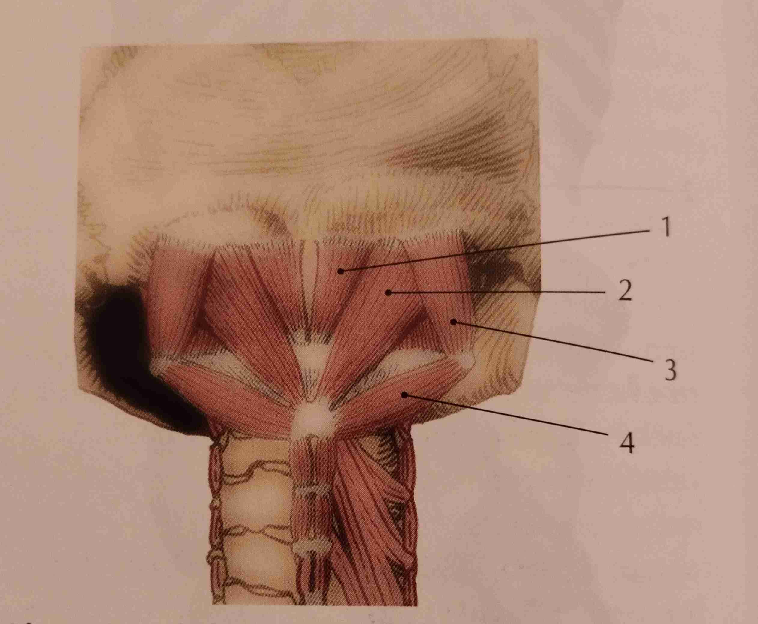 <p>2</p>