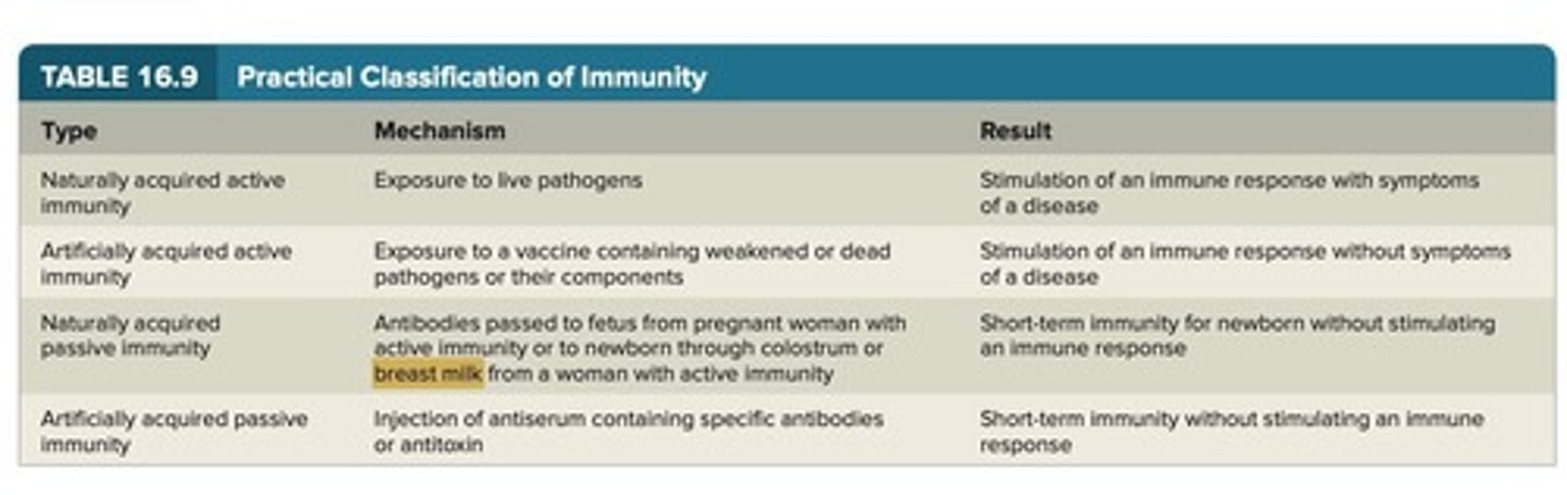 <p>Immunity that occurs naturally, such as recovering from a disease or receiving antibodies from the mother during pregnancy or breastfeeding.</p>